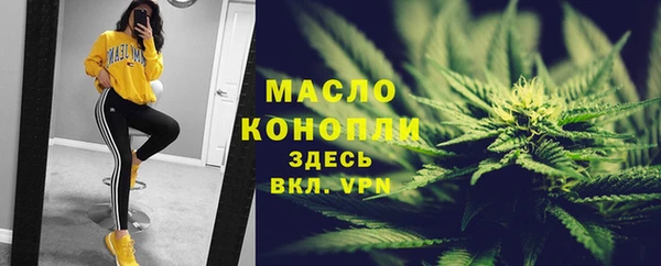 шишки Бердск
