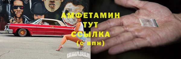 шишки Бердск