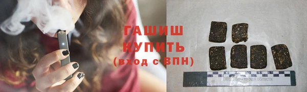 шишки Бердск