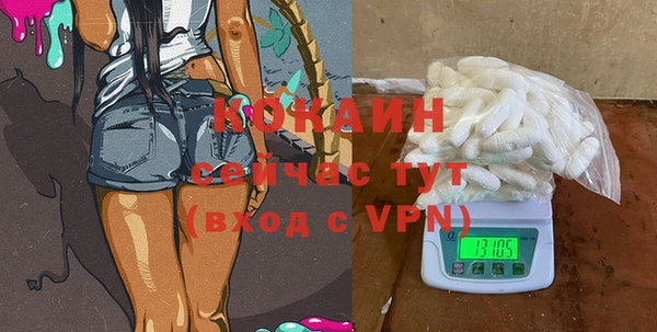 шишки Бердск