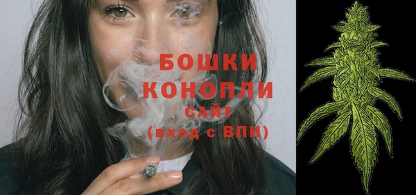 шишки Бердск