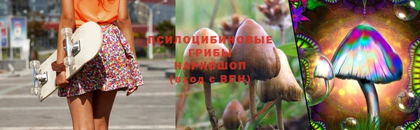 шишки Бердск