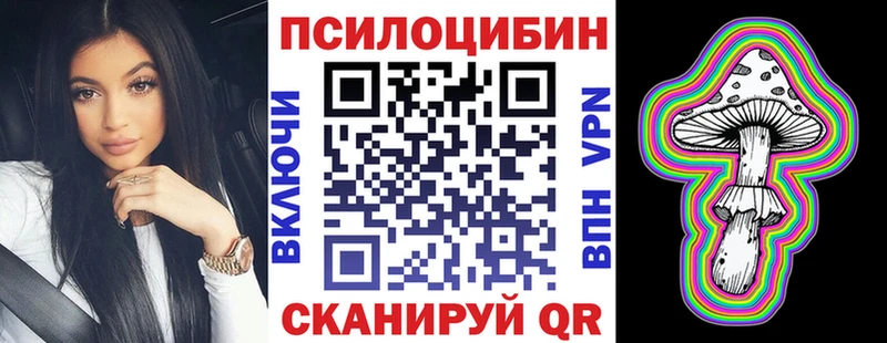 Псилоцибиновые грибы мицелий  Купить где  Курчатов 
